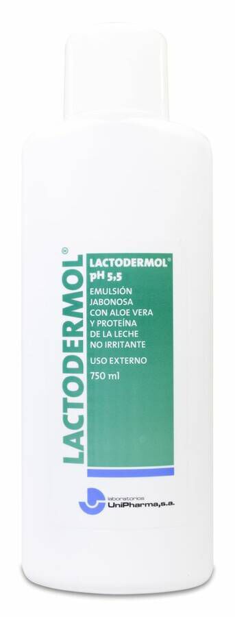 Lactodermol Con Aloe Vera 1 L 