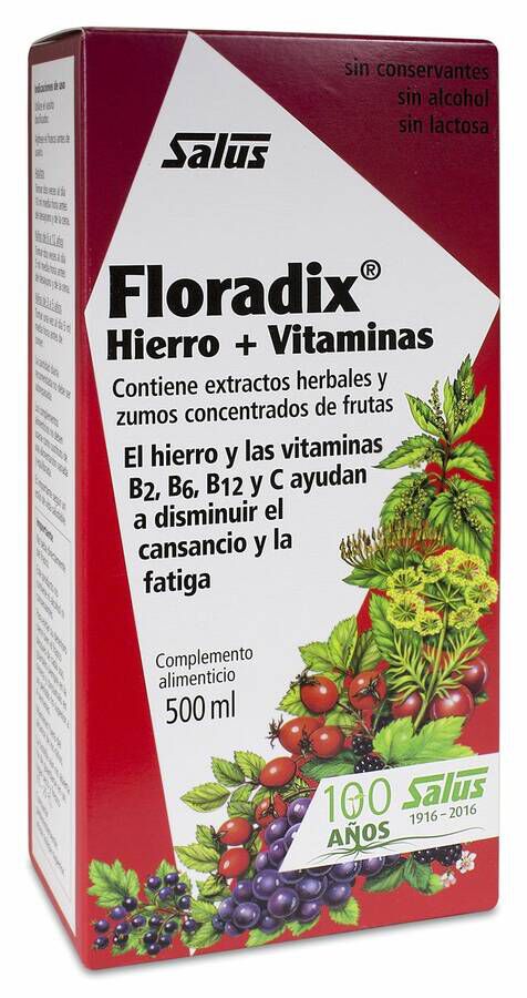 Floradix Elixir 500 ml 