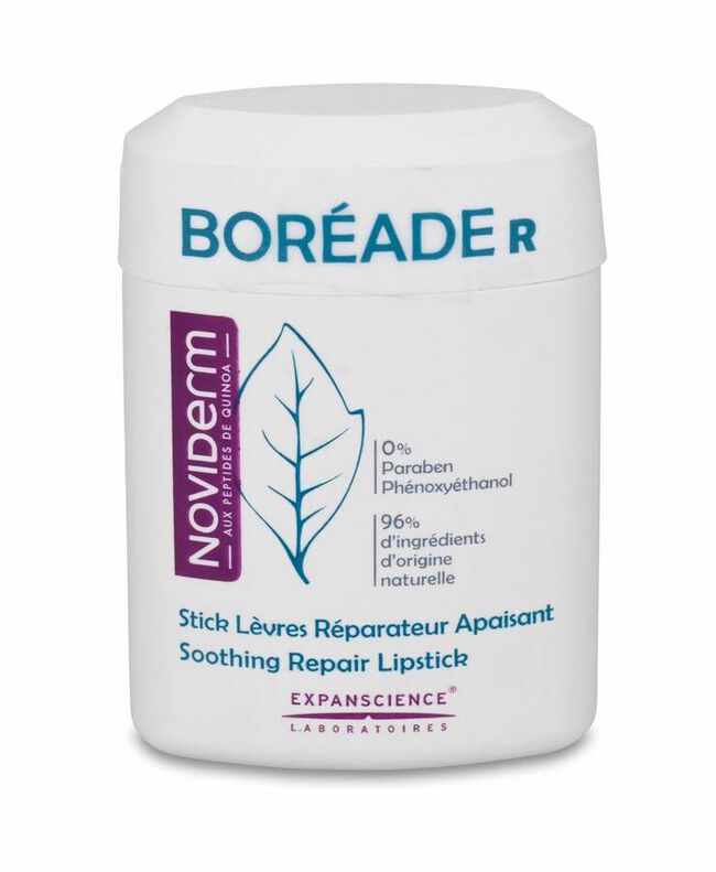 Boréade R Stick Reparador, 11 ml