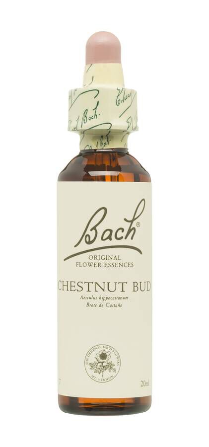 Flores de Bach 07 Chestnut Bud, 20 ml