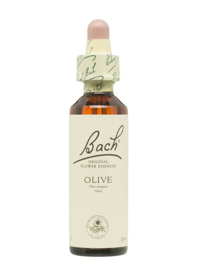 Bach Olive (23), 20 ml