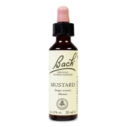 [013618] Bach Mustard (21), 20 ml