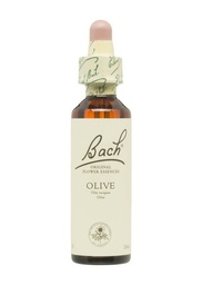 [013620] Bach Olive (23), 20 ml