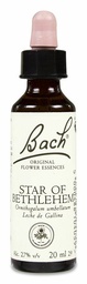 [013637] Bach Star of Bethlehem, 20 ml